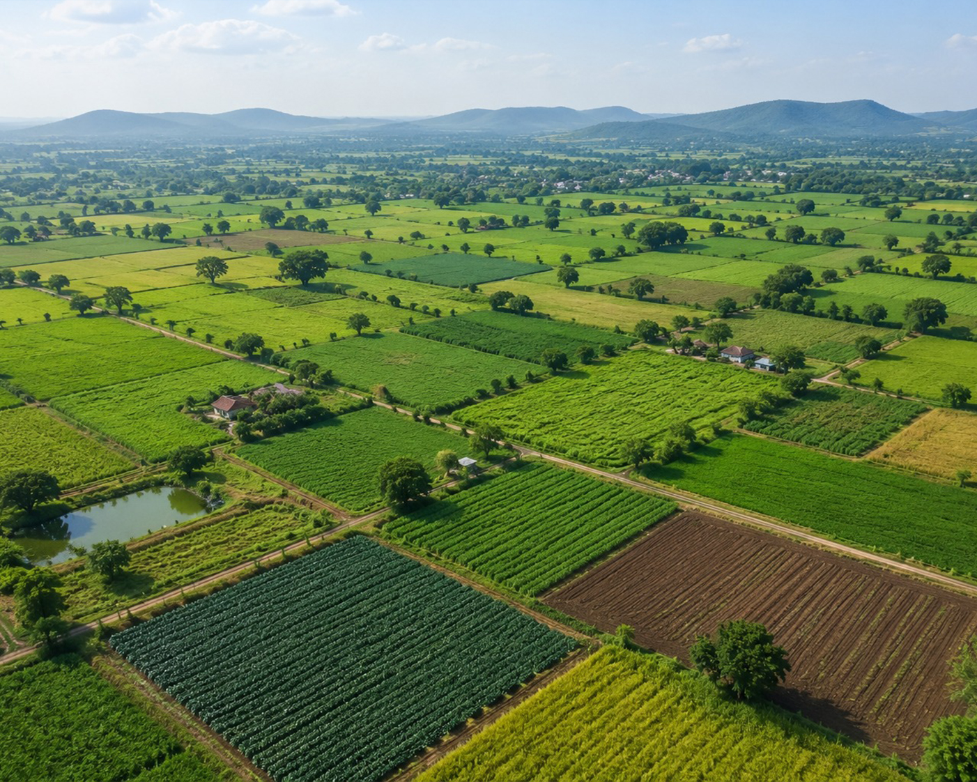 Agricultural Land