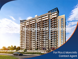 Flats / Apartments for Sale in PEERMUCHALLA, ZIRAKPUR (3 BHK) (5)