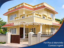 Residential House for Sale in SECTOR 70 (1 Kanal / 500 square yard) (3)